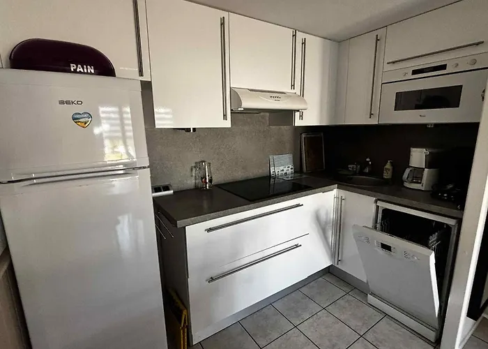 Appartamento Pavillon à 100m De La Avec Piscine, Parking Privé, Pour 4 Pers. à La Grière, Sur - Fr-1-357-12 *